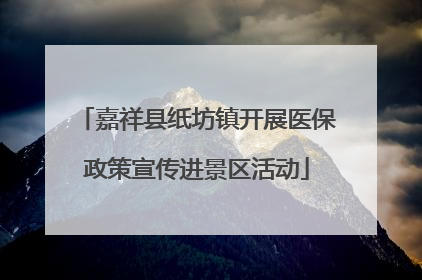 嘉祥县纸坊镇开展医保政策宣传进景区活动